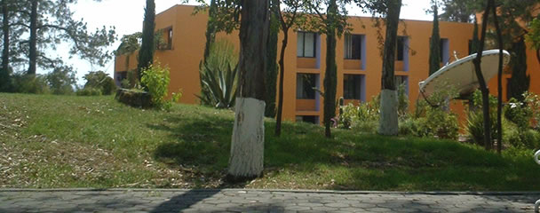 Posgrados